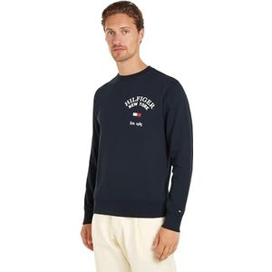 Tommy Hilfiger Sweatshirts voor heren, Blauw (Woestijnhemel), L
