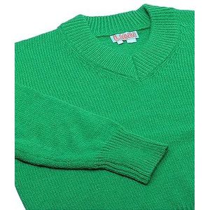Libbi Dames minimalistische trui met V-hals acryl groen maat XS/S, groen, XS