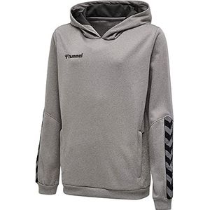 hummel Authentic Kids Poly Hoodie voor jongens