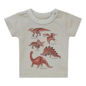 Noppies Baby Tee Momence T-shirt met korte mouwen voor jongens, Wilgengrijs - N044, 74 cm