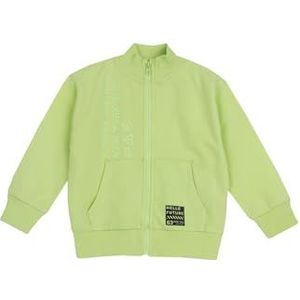 Chicco Licht sweatshirt met ritssluiting en lange mouwen met capuchon voor kinderen en jongeren, Lichtgroen., 12 jaar