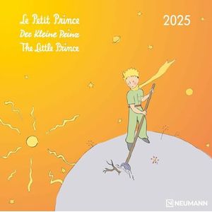 Der Kleine Prinz 2025 - Wand-Kalender - Broschüren-Kalender - 30x30 - 30x60 geöffnet - Kinder-Kalender - Illustrationen: Le Petit Prince