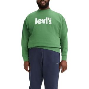 Big & Tall Relaxed Graphic Crew Sweatshirt Mannen