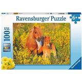 Shetlandpony's Puzzel (100 XL Stukjes)