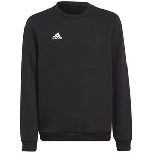 Adidas Uniseks sweatshirt voor kinderen Ent22 Sw Topy, zwart, H57474, 128 EU