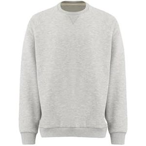 LTB Jeans Bekafa Sweatshirt voor heren, Lt Grey Mel 217, XL