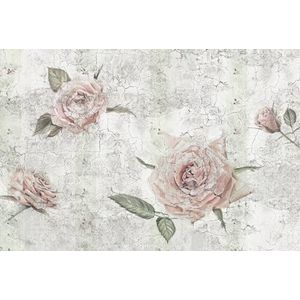 Komar X8-049 Vlies Tantinet-grootte: 400 x 260 cm (breedte x hoogte) -8 baanbreedte 50 cm fotobehang, wit/groen