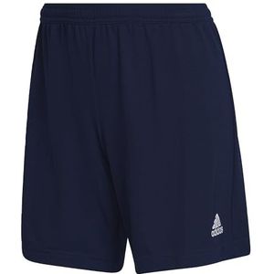 adidas Womens Shorts Ent22 SHO Lw, Tenabl, HI000, S EU