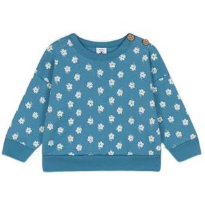 Petit Bateau A08FM sweatshirt, blauw polochon/meerkleurig, 6 maanden meisjes, Polochonblauw/meerkleurig, 6 mesi