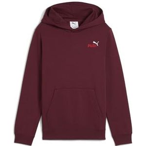 Puma - Ess 2 Color Hoodie - Fleece - Grijs - Gerecycled Materiaal