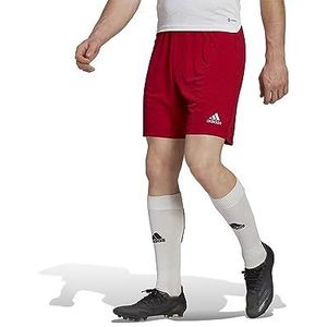 adidas, Entrada22, voetbalshorts, Team Power Red 2, S, man