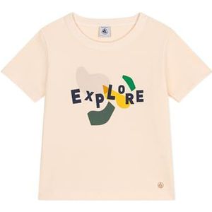 Petit Bateau T-shirt voor jongens, Lawine/Multico, 10 Jaar