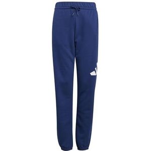 adidas Uniseks-Kind ESSENTIALS BIG LOGO PANTS, dark blue/white, 7-8 Years