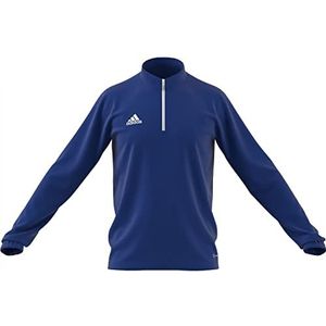 adidas Sweatshirt voor heren, team koningsblauw, M