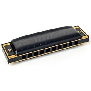 HOHNER Pro Harp Harmonica D