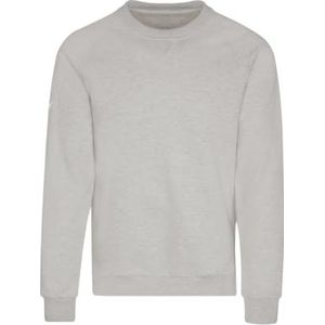 Trigema Sweatshirt voor heren met opgeruwde binnenkant, grijs (lichtgrijs gemêleerd 110), M