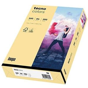 inapa gekleurd printerpapier, gekleurd papier tecno Colors: 160 g/m², A4, 250 vel, chamois