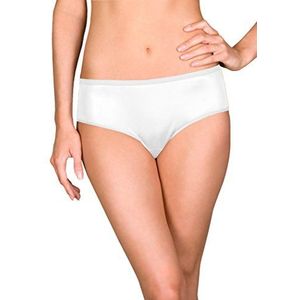 Shadowline Women's Plus Size Hidden Elastic Nylon Hipster Panty 3-Pack, White, 8