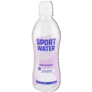 Sportwater Bessen PET 12 x 500 ml