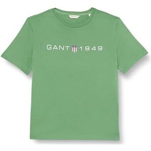 GANT Dames Reg Printed Graphic T-shirt, Seacrest Green, S