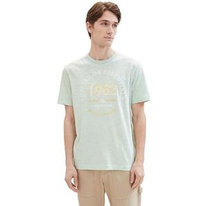 TOM TAILOR T-shirt voor heren, 34965 - Paradise Mint Finestripe, S