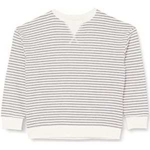 TOM TAILOR Jongens Kindersweatshirt met strepen 1032887, 30294 - White Grey Thin Stripe, 128-134
