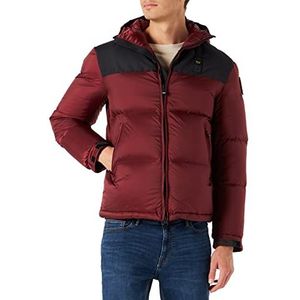 Blauer Giubbini kort gewatteerd donsjack, 372 bruin GHIANDA, 2XL heren