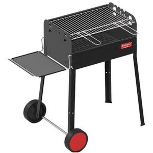 Avilia Houtskoolbarbecue met wielen van roestvrij staal, grillrooster van gietijzer, 58 x 38 cm en deksel voor gelijkmatig koken