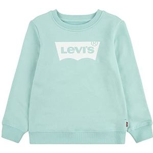 Levi's French Terry Batwing Pullover 2-8 jaar