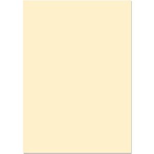 Blake Premium Business 61677 Papier Cream Wove A4 297 x 210 mm 120 g/m² | 500 stuks