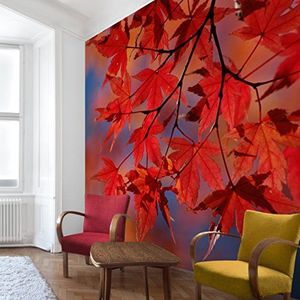 Apalis Vliesbehang Red Maple fotobehang vierkant | fleece behang wandbehang foto 3D fotobehang voor slaapkamer woonkamer keuken | Maat: 336x336 cm, rood, 97946