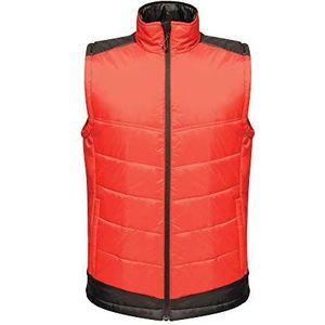 Regatta Professionele contrasterende geïsoleerde waterafstotende bodywarmer voor heren