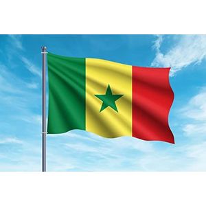 OEDIM Vlag Senegal | 150 x 85 cm | versterkt en met naden | vlag met 2 metalen ogen en waterdicht