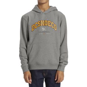 DC Shoes Orientation Boy Pullover voor jongens