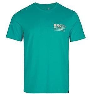O'NEILL Tees Shortsleeve Java T-shirt, 15014 Tile Blue, Regular (set van 2) voor heren