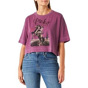 Pinko Tea-T-shirt met vlam-jersey, W50_donkerpaars, XS voor dames