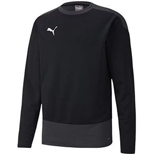 PUMA heren Sweatshirt Teamgoal 23 Training Sweat, Puma Black-Asphalt, S