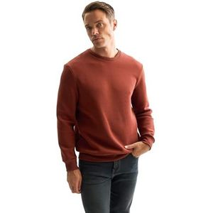 DeFacto Sweatshirts-Comfortabel Sweatshirt Heren Pullover Trainingspak Heren, koffie, M