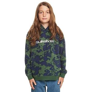 Quiksilver Essentials Polar Hood Youth Sweatshirt met capuchon voor jongens (pak van 1)
