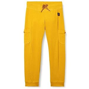 Noppies Baby Baby jongens B Slim Fit Pants Raleigh Broek, Chai Tea - P786, 56 cm