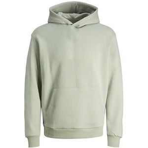JACK&JONES JUNIOR Jjebradley Sweat Hood Noos Jnr, desert sage, 116 cm