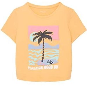 TOM TAILOR T-shirt voor meisjes en kinderen met print, 22225 - Washed Out Oranje, 176 cm