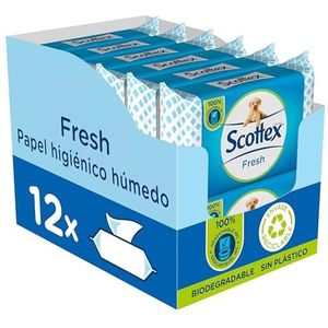 Scottex Fresh toiletpapier, vochtig, 12 verpakkingen met 38 stuks (12x38stuks)