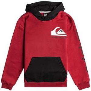 Quiksilver Omni Logo Hood Youth Sweatshirt met capuchon voor jongens (pak van 1)
