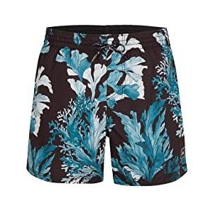 O'NEILL Origin Oyster 39010 Ao Shorts Zwempak voor heren, XL/XXL