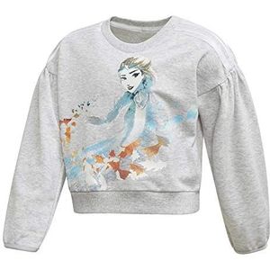 Adidas LG Dy Fro Sweatshirt, baby-kinderen, brgrcl / agufue, 92 (1/2 jaar)