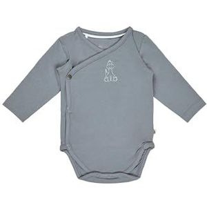 Sterntaler Babyjongens body Rexi basislaag ondergoed, grijsblauw, regular, grijsblauw, One size