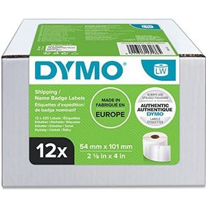 DYMO authentieke LW grote verzendetiketten/naamkaarten, 54 mm x 101 mm, 12 rollen van 220 stuks (2640 Easy-Peel-labels), zelfklevend, voor LabelWriter-labelmakers
