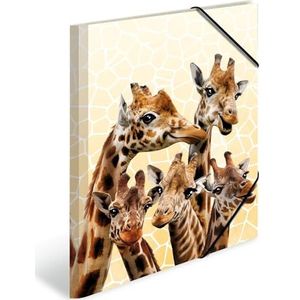 HERMA 19966 verzamelmap A3 exotische dieren, giraffenvrienden, kinderen hoekspanner-map van kunststof met interne print en elastiek, stevige plastic omslagmap voor jongens en meisjes