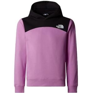 THE NORTH FACE Uniseks kinderen Back Logo Relaxed P/O capuchontrui
